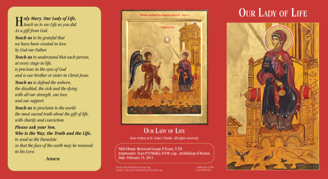Our Lady of Life Tri-fold Prayer Card (English/Spanish)***BUYONEGETONEFREE***